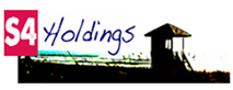 S$ Holdings Logo